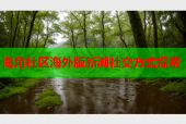 海角社区海外版新潮社交方式探索