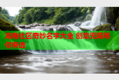 海角社区奇妙名字大全 创意无限等你来选