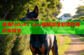 海角hjdo43 ccm破解版全新体验等你来探索